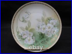 11 Vintage Hand Painted Floral Gold Trim Porcelain 7'' Plates Germany 1930's
