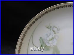 11 Vintage Hand Painted Floral Gold Trim Porcelain 7'' Plates Germany 1930's