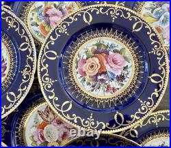 12 Antique Coalport Sevres Style Porcelain Botanical Plates Cobalt Blue Gold