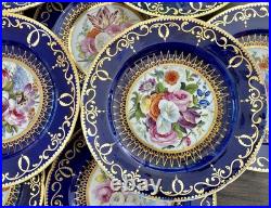 12 Antique Coalport Sevres Style Porcelain Botanical Plates Cobalt Blue Gold