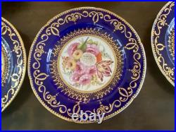 12 Antique Coalport Sevres Style Porcelain Botanical Plates Cobalt Blue Gold