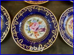 12 Antique Coalport Sevres Style Porcelain Botanical Plates Cobalt Blue Gold