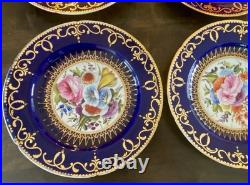 12 Antique Coalport Sevres Style Porcelain Botanical Plates Cobalt Blue Gold