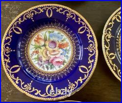 12 Antique Coalport Sevres Style Porcelain Botanical Plates Cobalt Blue Gold
