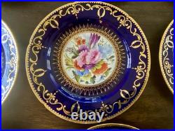 12 Antique Coalport Sevres Style Porcelain Botanical Plates Cobalt Blue Gold