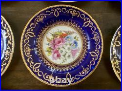12 Antique Coalport Sevres Style Porcelain Botanical Plates Cobalt Blue Gold