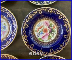 12 Antique Coalport Sevres Style Porcelain Botanical Plates Cobalt Blue Gold