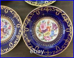 12 Antique Coalport Sevres Style Porcelain Botanical Plates Cobalt Blue Gold