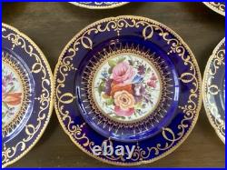 12 Antique Coalport Sevres Style Porcelain Botanical Plates Cobalt Blue Gold