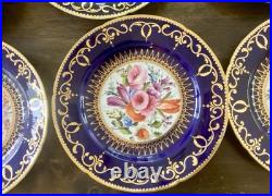12 Antique Coalport Sevres Style Porcelain Botanical Plates Cobalt Blue Gold