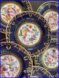12 Antique Coalport Sevres Style Porcelain Botanical Plates Cobalt Blue Gold