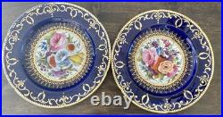 12 Antique Coalport Sevres Style Porcelain Botanical Plates Cobalt Blue Gold