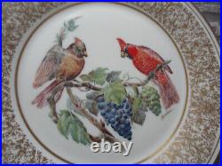 12 Lenox China Boehm Bird Annual Gold Gilt Dinner Plates Limited Edition Vintage