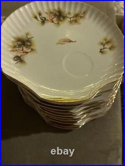 12 Lot Of Japan China Gold Accent Pine Tree Clam Shell Shape