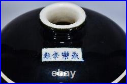 12 Ming dynasty yongle mark Porcelain pair Black gold glaze Lotus Flower vase
