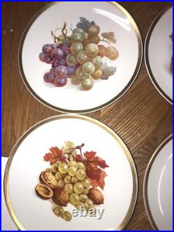 12 Pieces Set Painted Porcelain Plates E&R Golden Crown Bavaria Germany 7 3/4