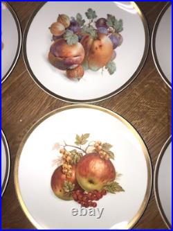 12 Pieces Set Painted Porcelain Plates E&R Golden Crown Bavaria Germany 7 3/4