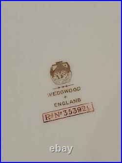 12 Rare WEDGWOOD X5129 PINK CHRYSANTHEMUMS GREEN & GOLD DINNER PLATES CIRCA 1900