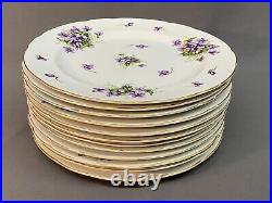 12 Rossetti SPRING VIOLETS 10 Dinner Plates withGold Trim 1940's