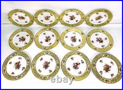 12 Tirschenreuth TR195 Vintage Bavaria Cabinet Dinner Plates Gold Scroll Floral