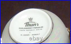17 pc THUN KARLOVARSK Rose Pattern Gold Accent Trim Fine Porcelain China Tea Set