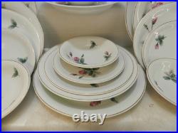 20Pc Rosenthal Continental Victorian Rose Dinner Ware China Gold Rim Rose (P84J)