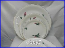 20Pc Rosenthal Continental Victorian Rose Dinner Ware China Gold Rim Rose (P84J)