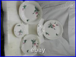 20Pc Rosenthal Continental Victorian Rose Dinner Ware China Gold Rim Rose (P84J)