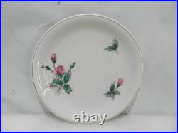 20Pc Rosenthal Continental Victorian Rose Dinner Ware China Gold Rim Rose (P84J)