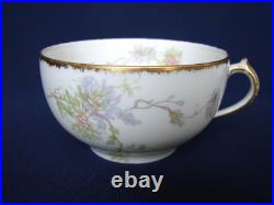 20pc CH FIELD HAVILAND 5pc Place Settings Service for FOUR Purple Flowers Gold 20pc CH FIELD HAVILAND 5pc Place Settings Service for FOUR Purple Flowers Gold