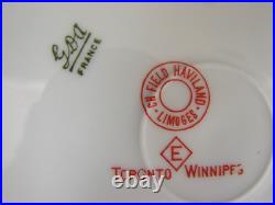 20pc CH FIELD HAVILAND 5pc Place Settings Service for FOUR Purple Flowers Gold