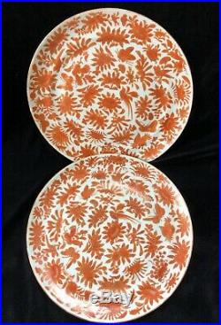 2 Antique Chinese Export Porcelain Orange & Gold Sacred Bird Butterfly Plates