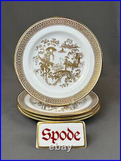 4 Spode SPODE'S GARDEN Y7046 Gold 8 Dessert/Salad Plates (A) EUC