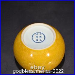 6China Antique porcelain Ming Hongzhi Delicate yellow glaze Dragon brush washer