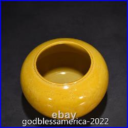 6China Antique porcelain Ming Hongzhi Delicate yellow glaze Dragon brush washer