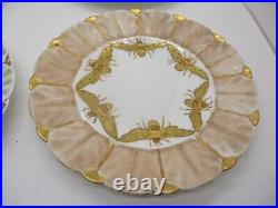 6 Antique Handpainted Gold Trim Insect Plates Dragonfly Bees Moth Butterfly