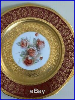 6 Princess China Belwood Bavaria Ge Roy Gold Trim Red/Burgundy Roses 11 Plates