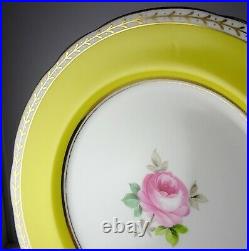 6 Spode Copeland's China Dinner Plates HP Large Rose Yellow Verge Gold Trim