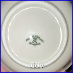 81pc Johann Haviland Bavaria Floral Splendor China Set Gold Trim 12 Place