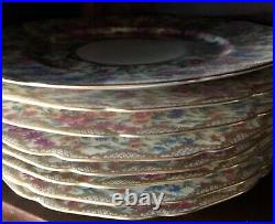 8 Rare Crown China Hohenberg Bavaria Mayflower Dinner Plates Beautiful Porcelain