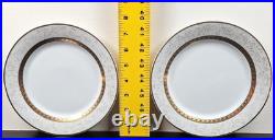 8 Royal Heritage Primavera Salad Plates Set Vintage Elegant Gold White Retro Lot