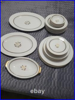 ANTIQUE ROSENTHAL ROSE! German Fine China, 29 Piece Set! Mint, Matching! Mint