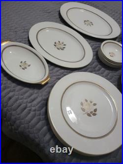 ANTIQUE ROSENTHAL ROSE! German Fine China, 29 Piece Set! Mint, Matching! Mint