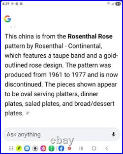 ANTIQUE ROSENTHAL ROSE! German Fine China, 29 Piece Set! Mint, Matching! Mint