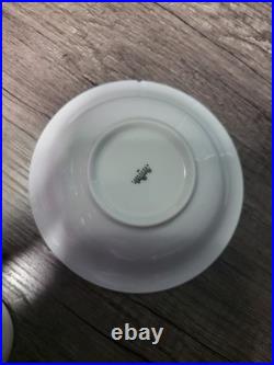 ANTIQUE ROSENTHAL ROSE! German Fine China, 29 Piece Set! Mint, Matching! Mint