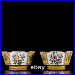 A Pair Chinese Enamel Colour Porcelain Gilded HandPainted Flower&Plant Bowl11894