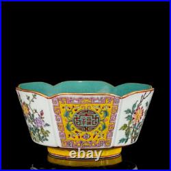 A Pair Chinese Enamel Colour Porcelain Gilded HandPainted Flower&Plant Bowl11894