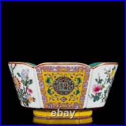 A Pair Chinese Enamel Colour Porcelain Gilded HandPainted Flower&Plant Bowl11894
