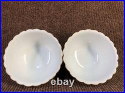 A Pair Chinese Gilded Pastel Porcelain Hand Painted Dragon Pattern Bowls 8438