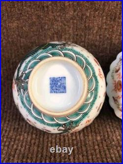 A Pair Chinese Gilded Pastel Porcelain Hand Painted Dragon Pattern Bowls 8438